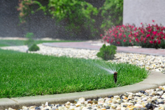 Sprinkler watering grass