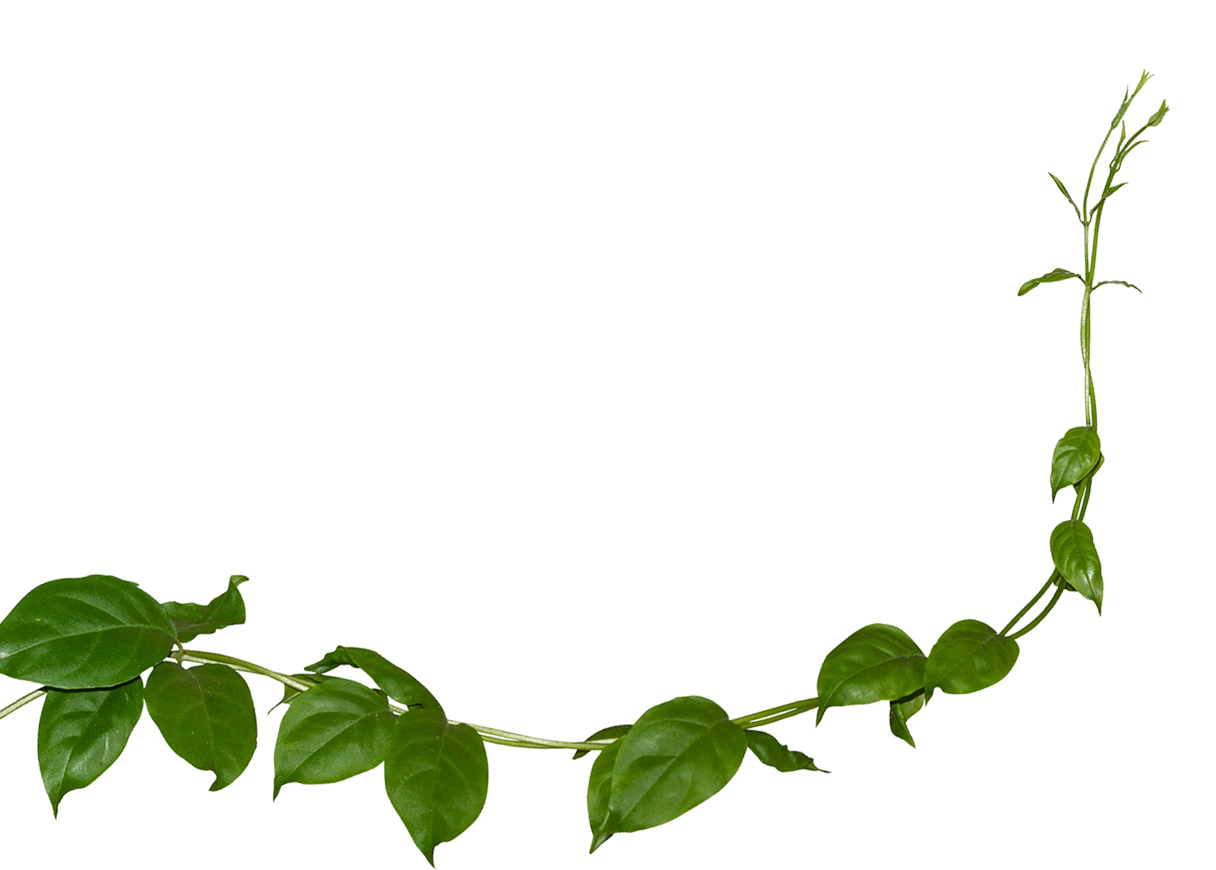 Contatti Contatti