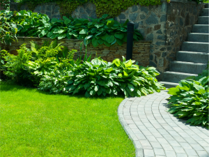 Manutenzione giardini a Varese 